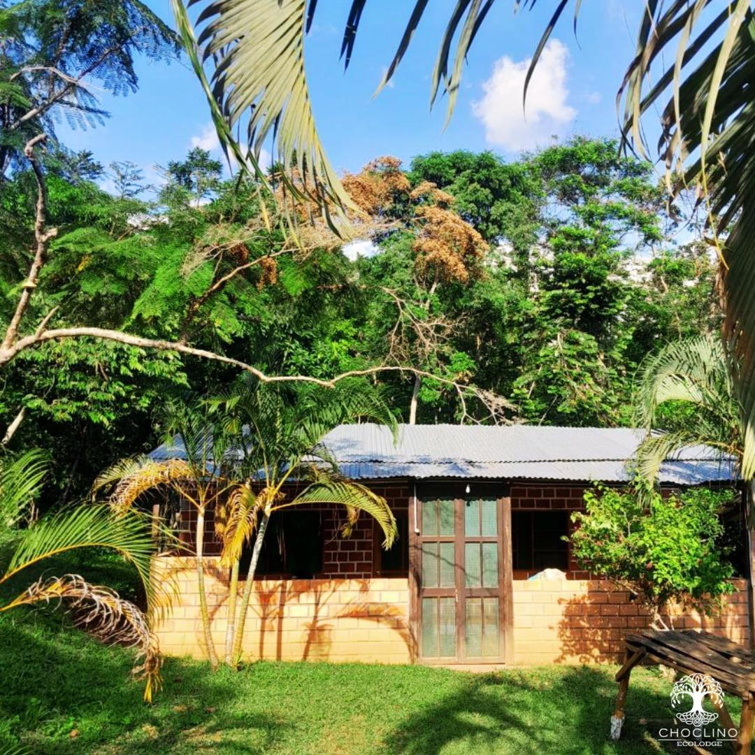 Choclino Ecolodge -Bungalows Tarapoto Exterior photo