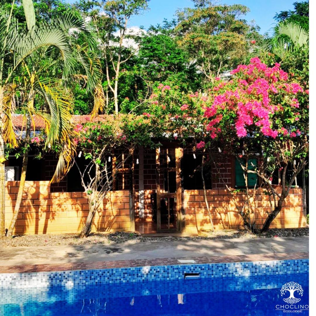 Choclino Ecolodge -Bungalows Tarapoto Exterior photo