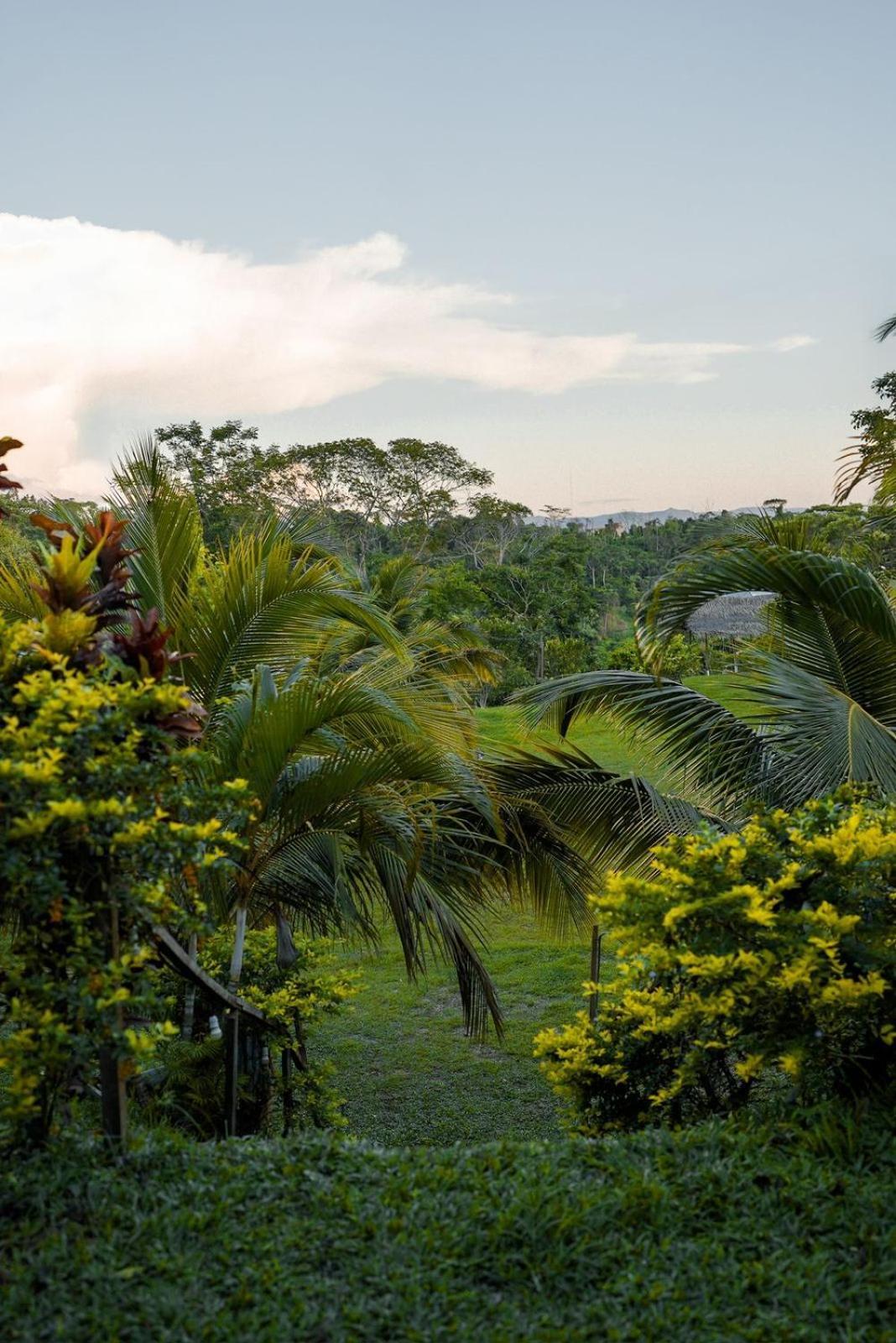 Choclino Ecolodge -Bungalows Tarapoto Exterior photo