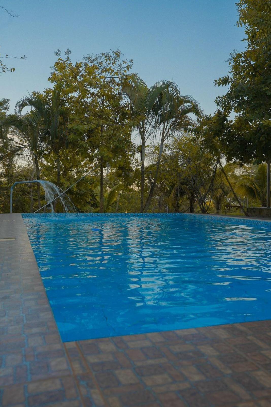 Choclino Ecolodge -Bungalows Tarapoto Exterior photo